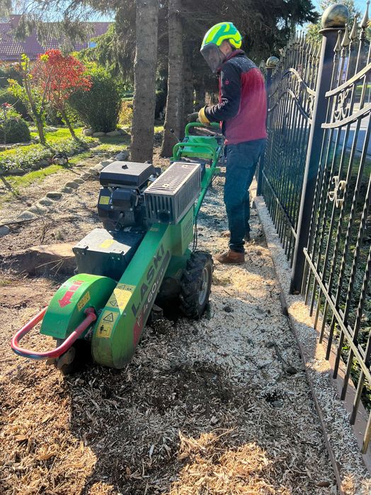 Usuwanie pniaków, frezowanie pni drzew Piotrków Trybunalski