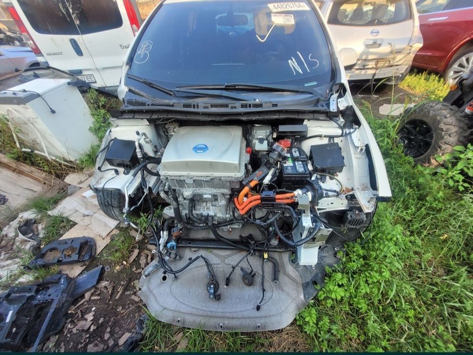 Двері Nissan Leaf