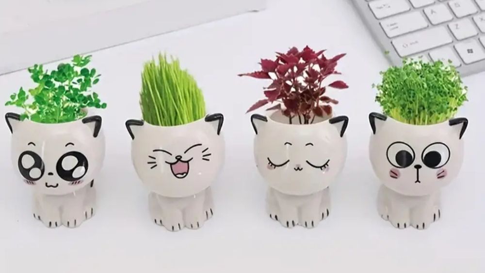 Mini vaso gatos fofos