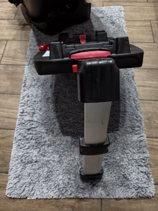 Fotelik babysafe schnauzer