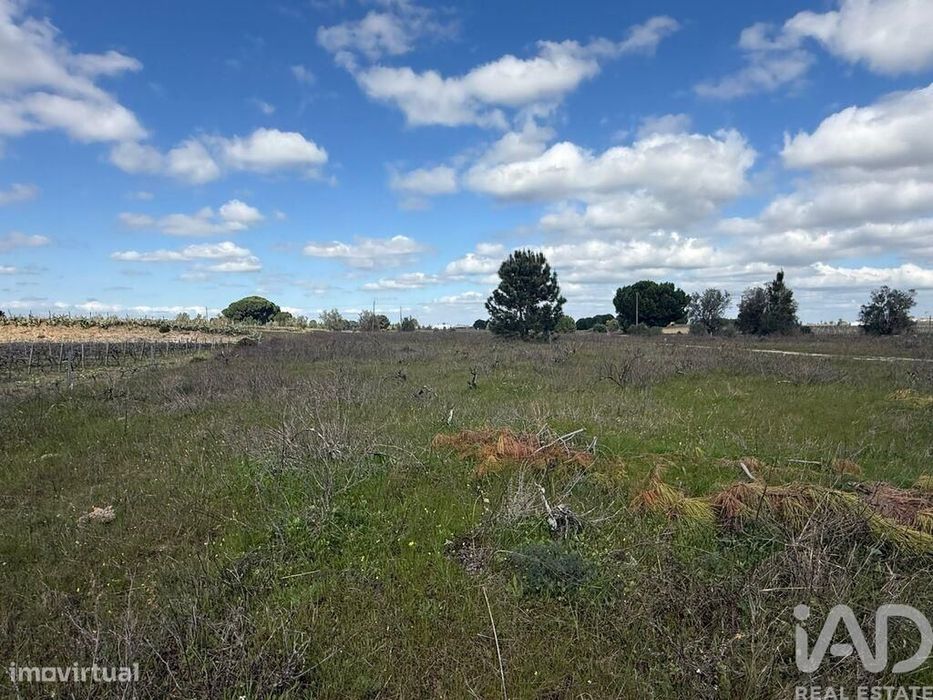 Terreno Agrícola em Palmela