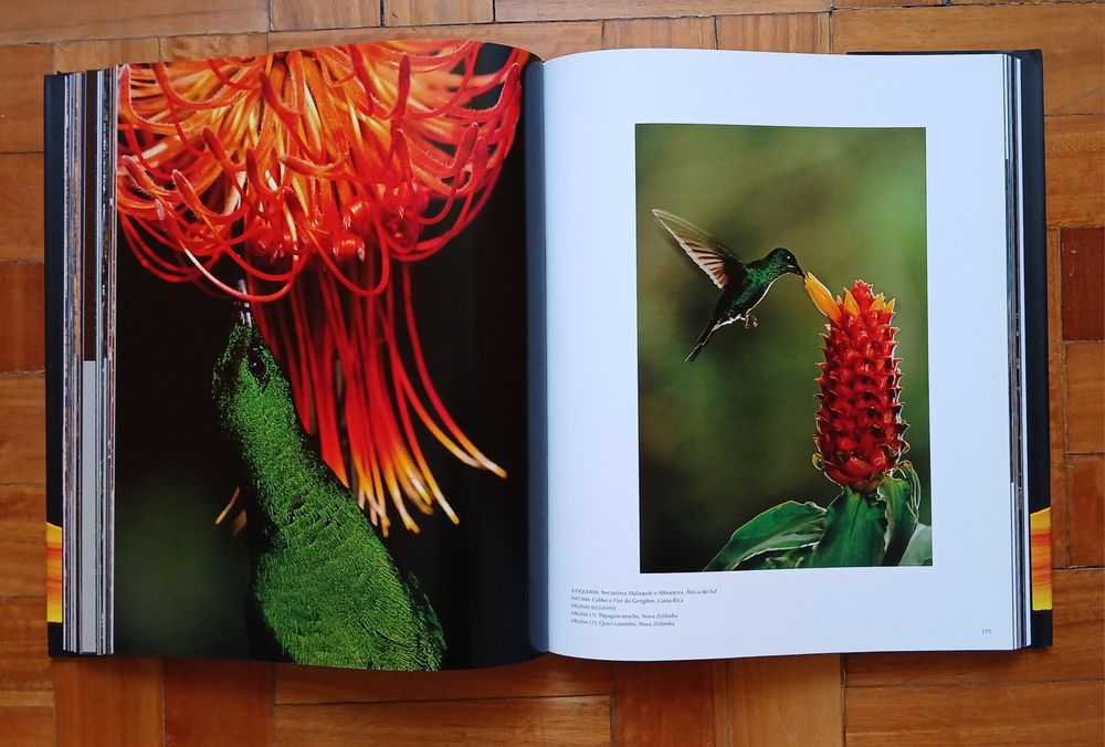 Livro A VIDA - Frans Lanting