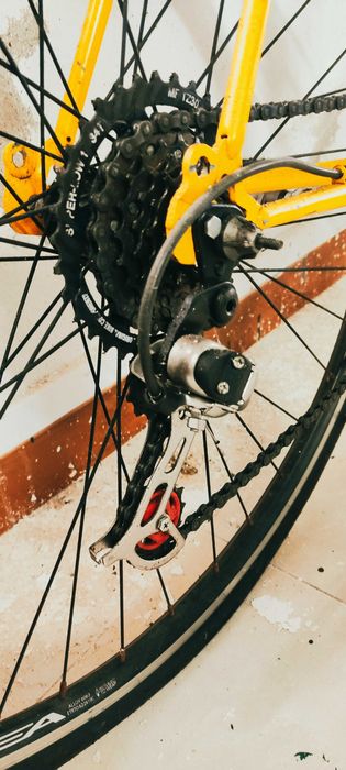 Bicicleta ciclismo vintage