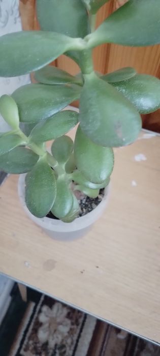 Продам гарний вазон