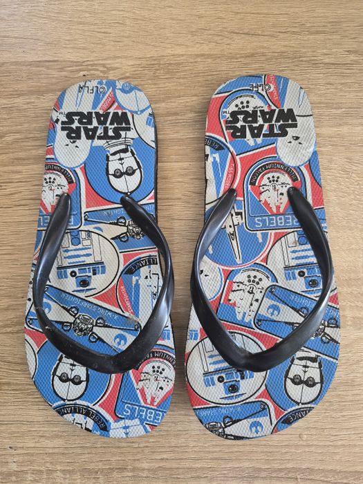 В'єтнамки 26 розмір