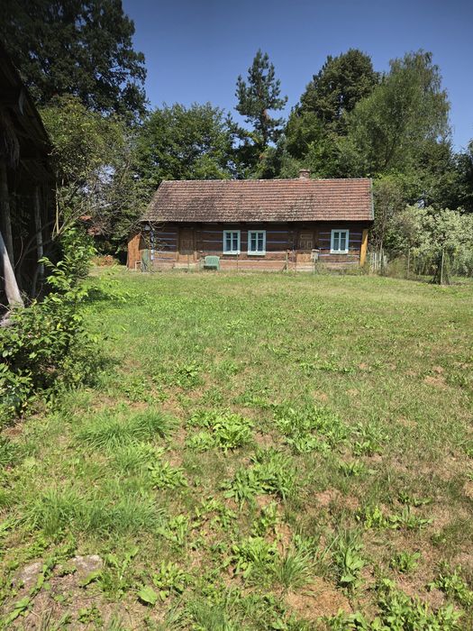 Działka 11,2 ar z domem i zabudowaniami – Buczków