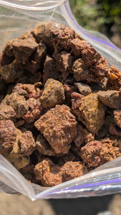 Propolis 500 gram - Wysyłka GRATIS! Kit pszczeli PREMIUM - bardzo dobrej jakości!