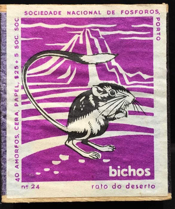 11 Caixas de fósforos antigas anos 60 sem os fósforos/vazias