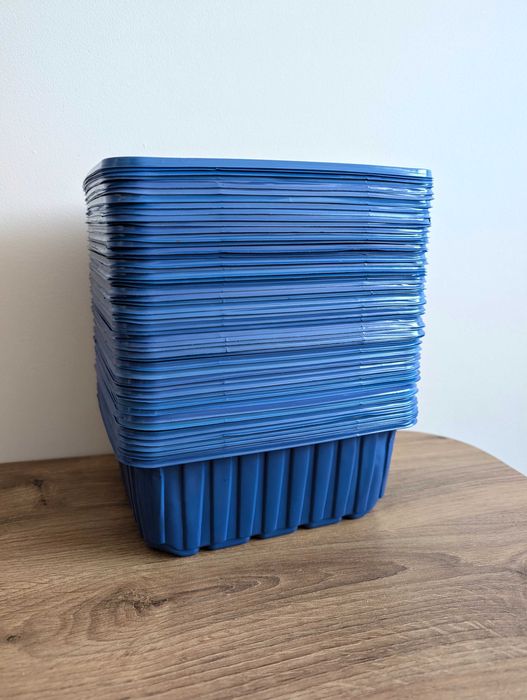 Pojemnik plastikowy 50 szt