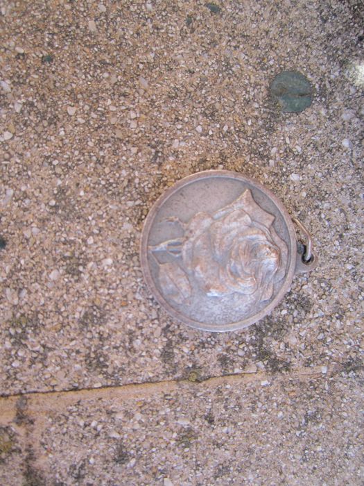 Medalhão / Pingente Vénus 1982