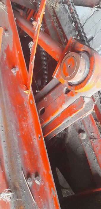 Prasa kostkujaca sipma
