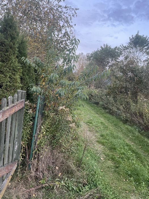 Działka budowlana 7 ar z WZ