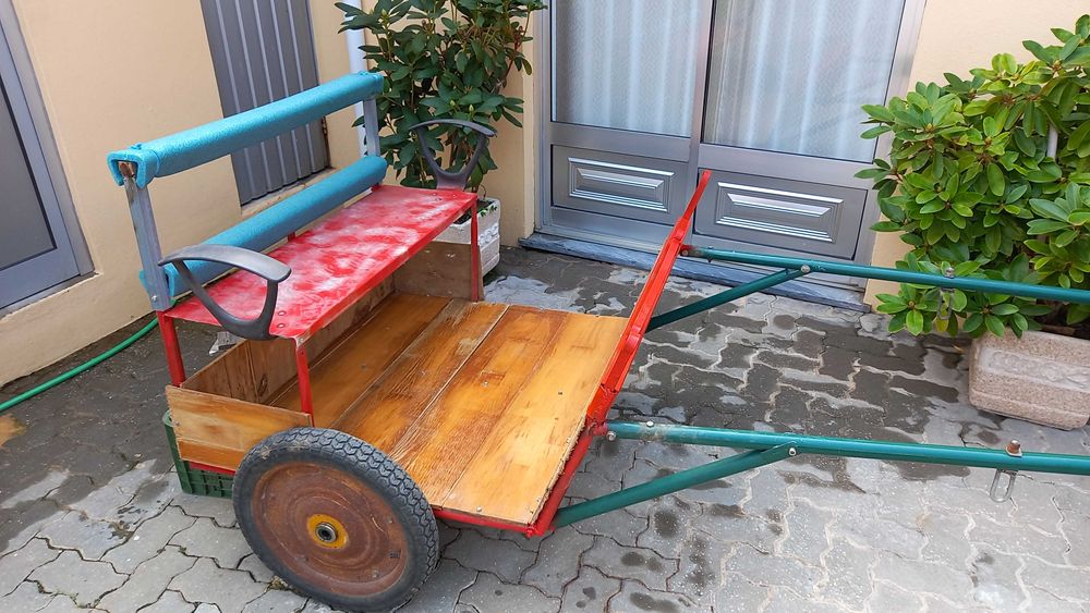 Vendo carroça para pónei