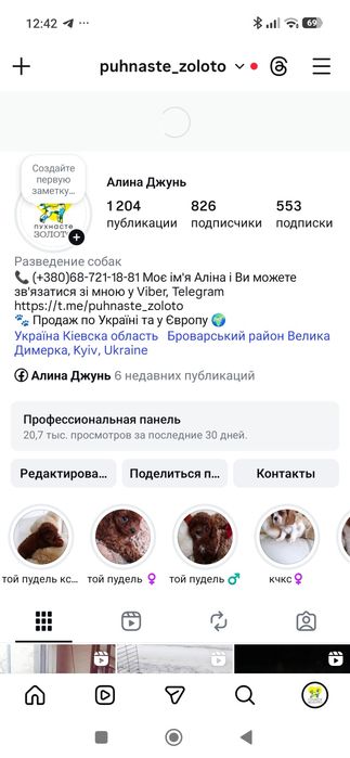 Пулель ,Той-пудель ксу . Мини мальчики и девочки ксу