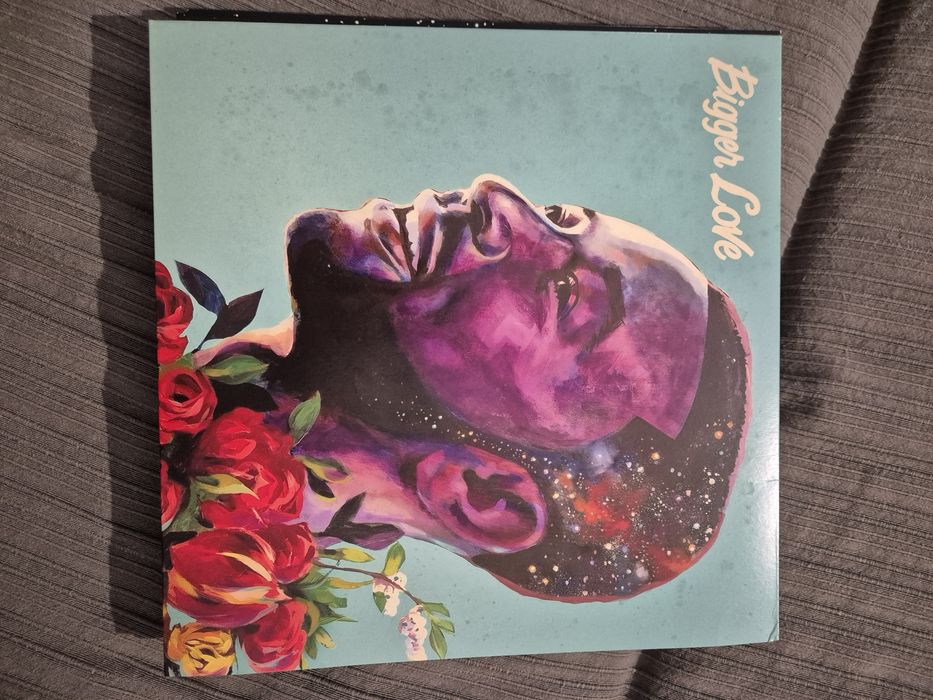 Disco de vinil vinis