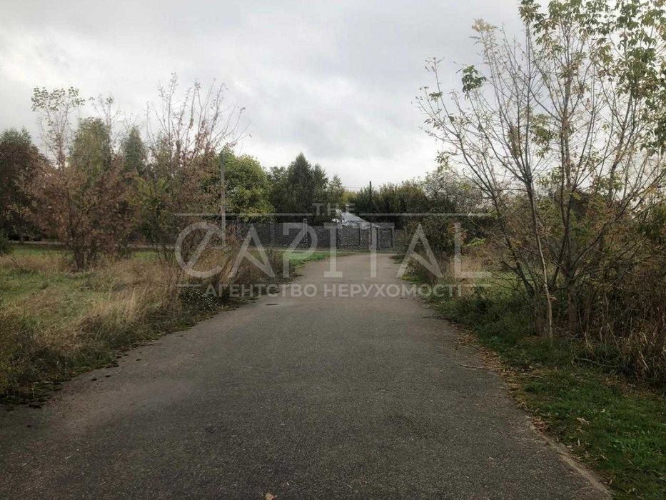 Продаж земельної ділянки Нові Безрадичі 100 сот