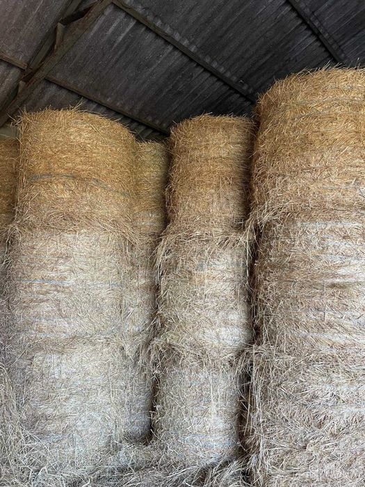 Fardos de Aveia misturado com Centeio em Borracha