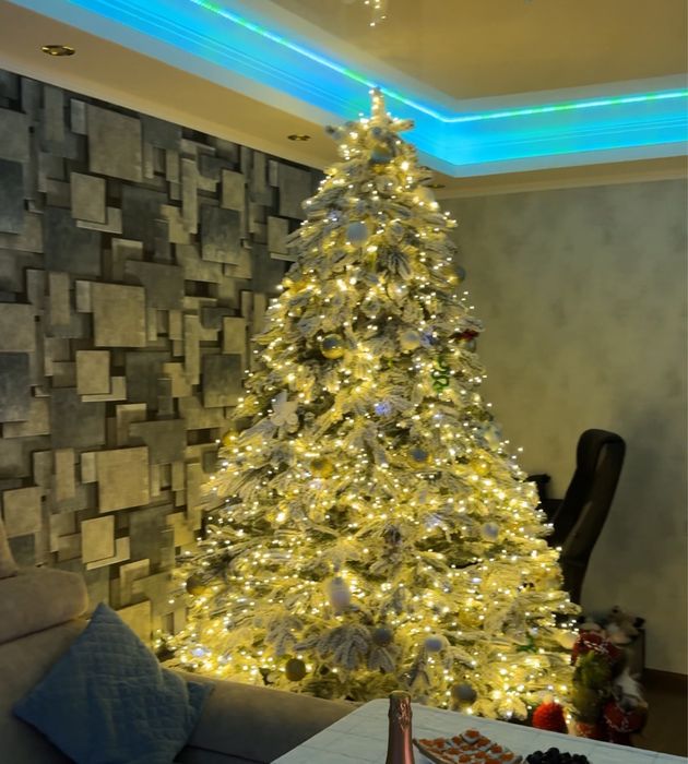 Ялинка КОВАЛІВСЬКА Лита Засніжена