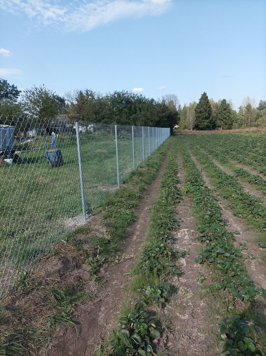 Montaż ogrodzeń Panelowe Siatka Betonowe