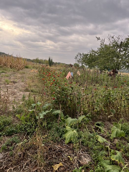 Продам будинок с Новоселівка