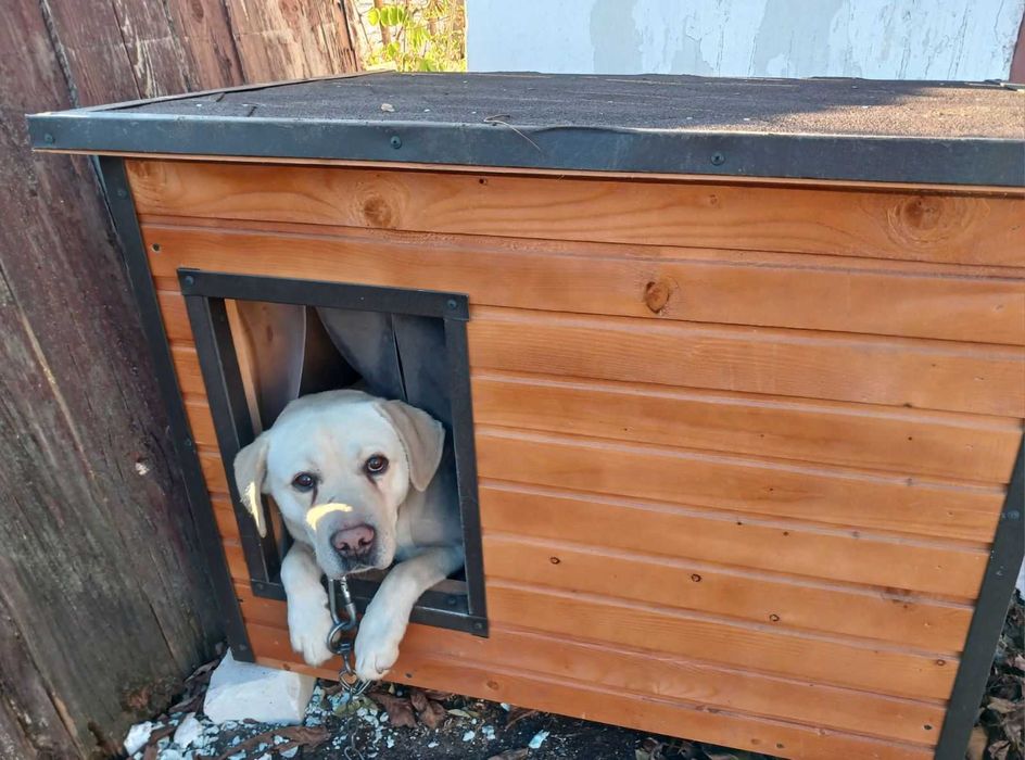 Будка для собак 85 см, 95 см | Утеплені | Будки для Вівчарки 107 см.