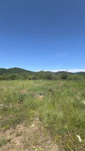 Земля в карпатах 270 $ за сотку  біля т. Київ-Чоп 1.7 Га (садівництво)