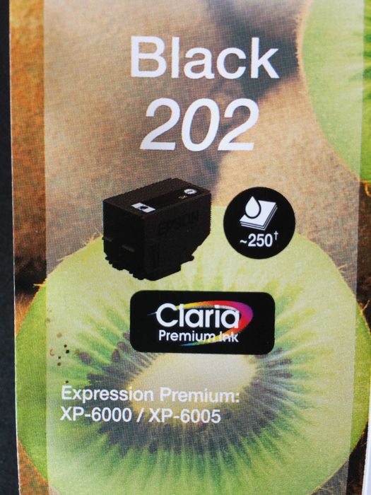 Tinteiro EPSON - Black 202 (Kiwi)