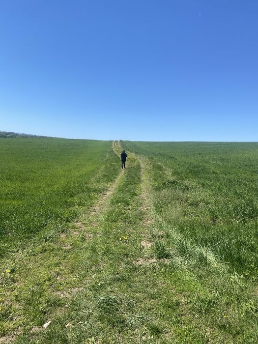 Земельна ділянка Петриків
