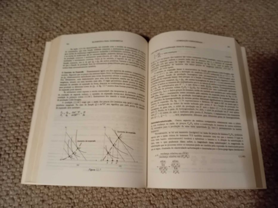 Matematica para economistas