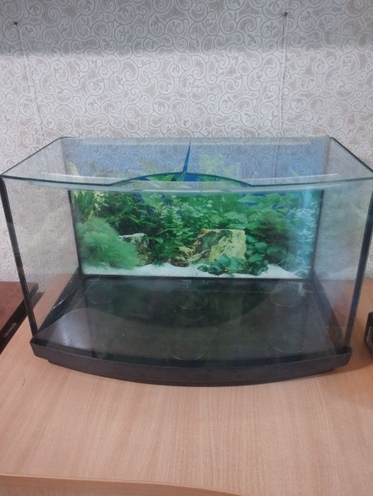 Продам аквариум 38литров
