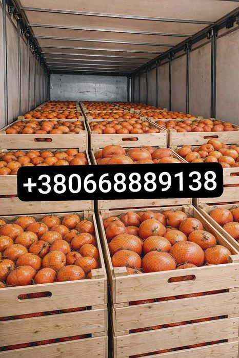 Продам фрукты оптом