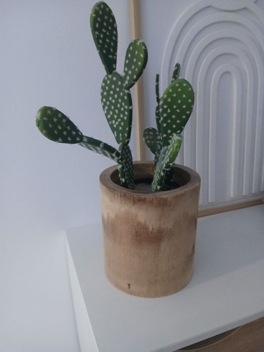 Vendo vaso de madeira com cacto em bom estado