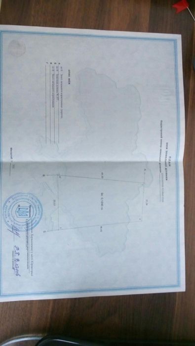 Фото ділянки