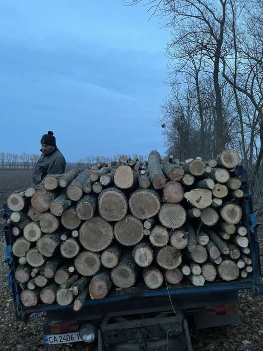 Продам дрова твердих порід опт/ розница