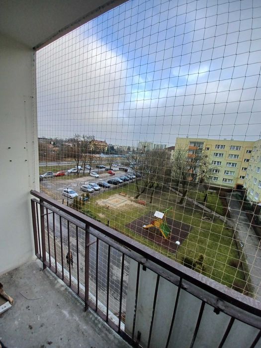 Sprzątanie i dezynfekcja balkonu, zabezpieczenia przeciw ptakom