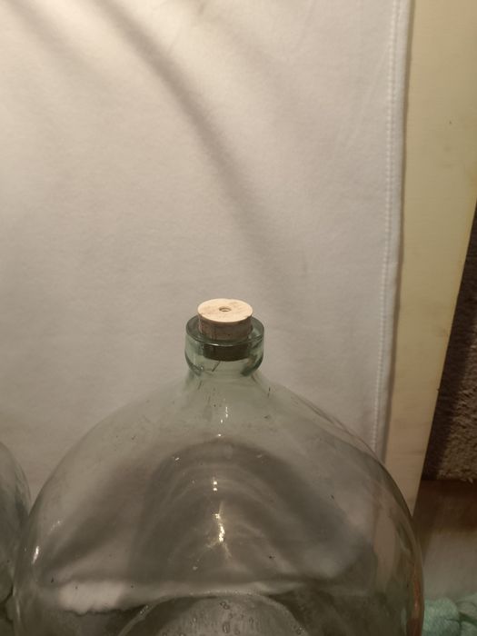 Sprzedam dwa gąsiory, balony