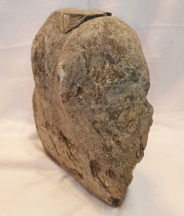 Escultura Dorso Xisto 3