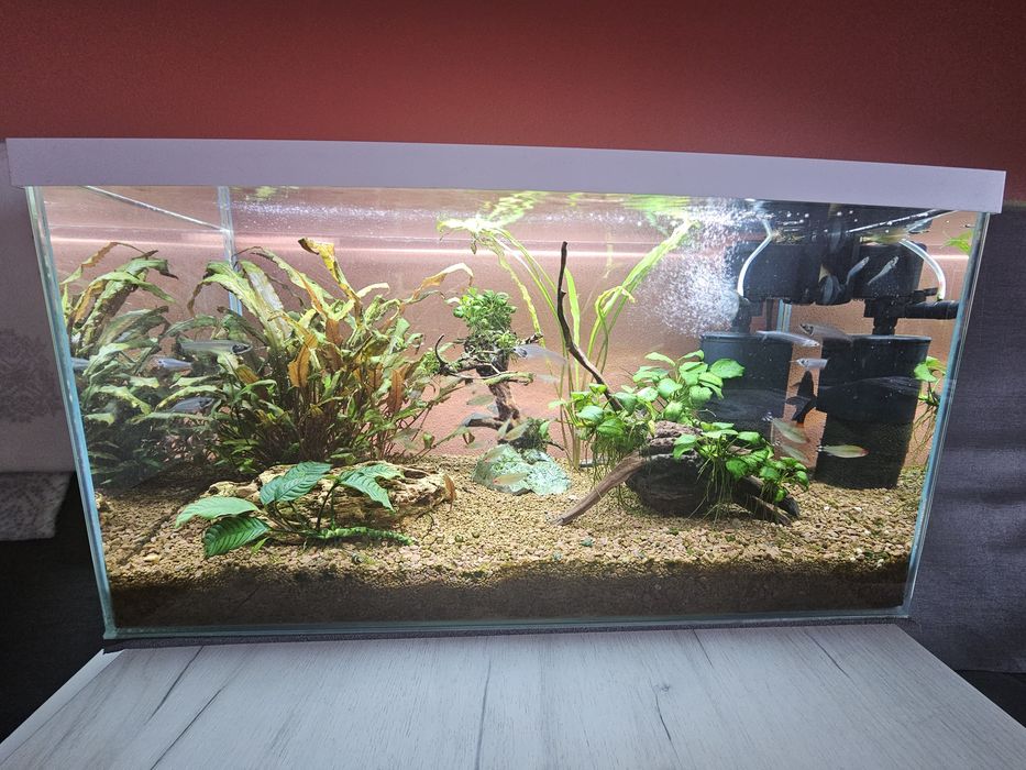Sprzedam akwarium aquel 105l wraz z wyposażeniem