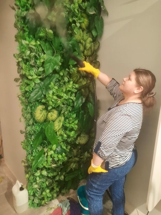 Професійне прибирання/Прибирання будинків/квартир/після будівництва