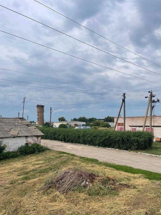 Агрокомплекс, птахофабрика