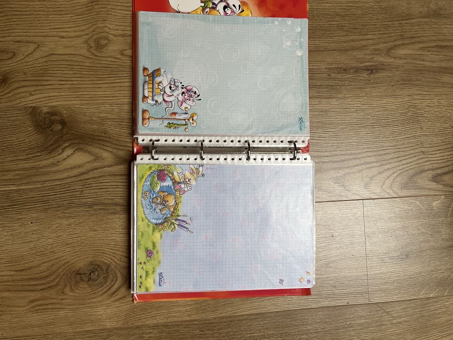 Segregator / karteczki Diddl