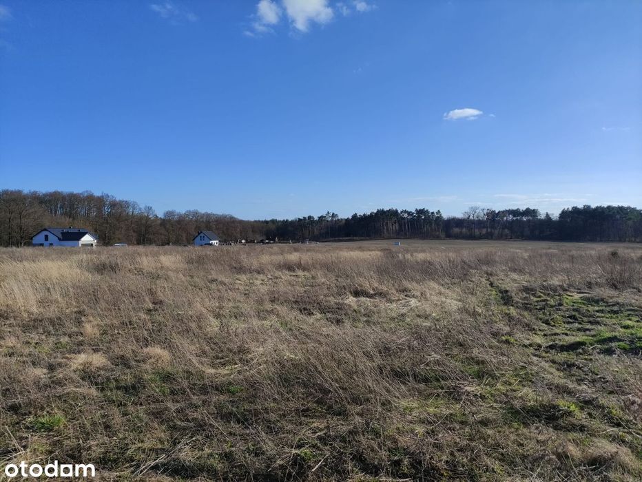 Działka budowlana w spokojnej okolicy_ul. Leszczynowa