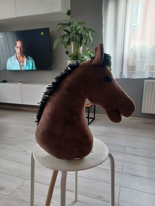 Hobby horse używany
