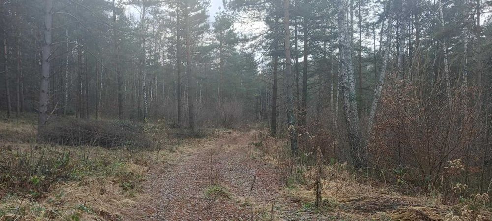 Działki budowlane KRASNOBRÓD ul. LELEWELA (bez pośredników)