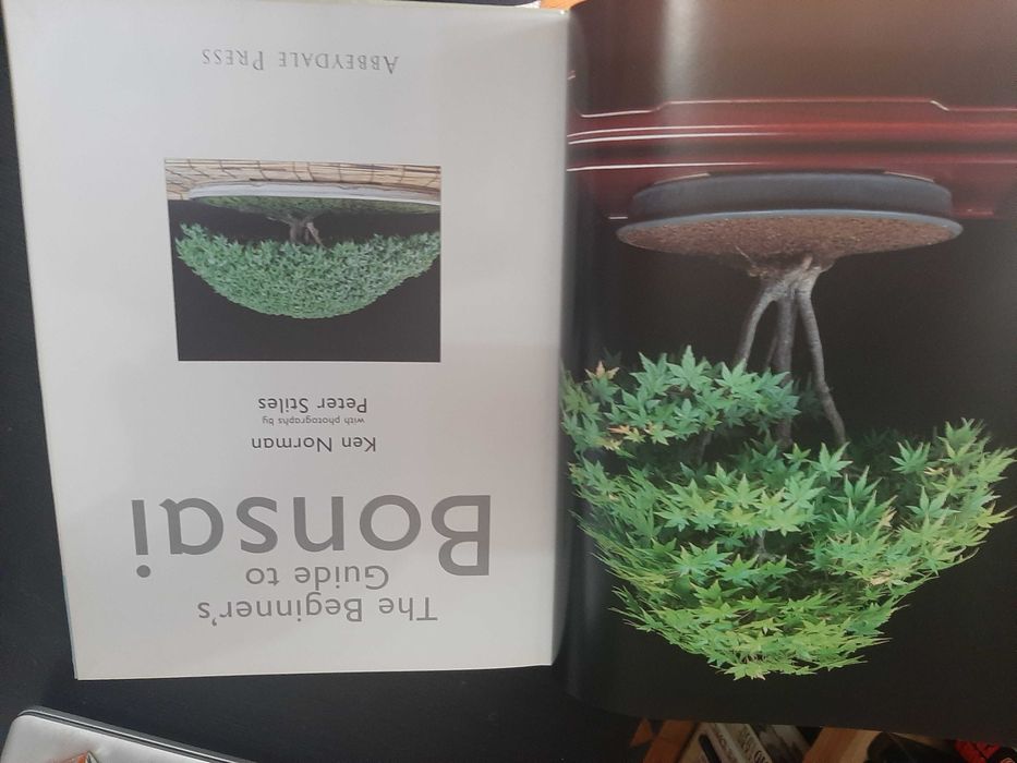 Ken Norman – The Beginner's Guide to Bonsai – photos by Peter Stiles