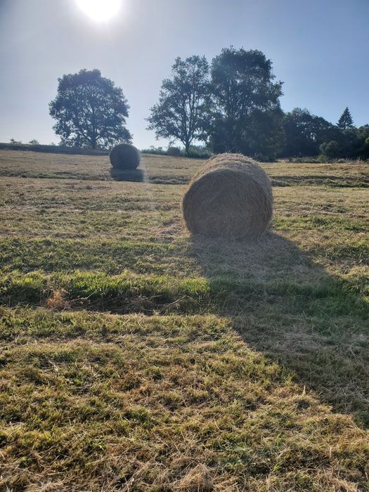 Rolos de Feno 2025 (Montalegre)