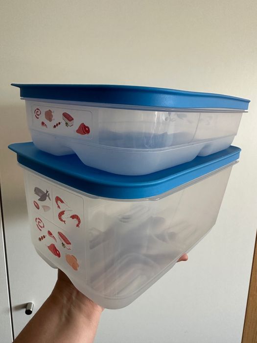 2 Caixas (1.8L + 4.4L) Peixe / Carne Tupperware
