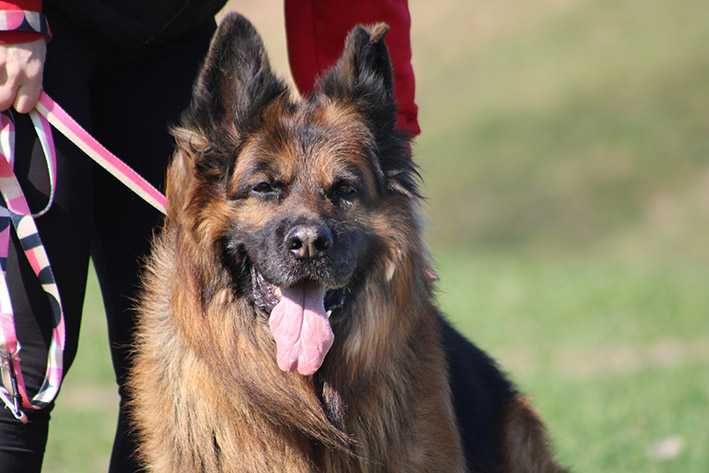 Filip szuka wspaniałego domu !