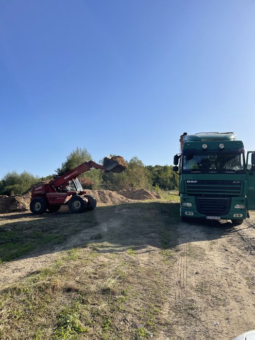 Щепа суха  хвоя ( сухостій)