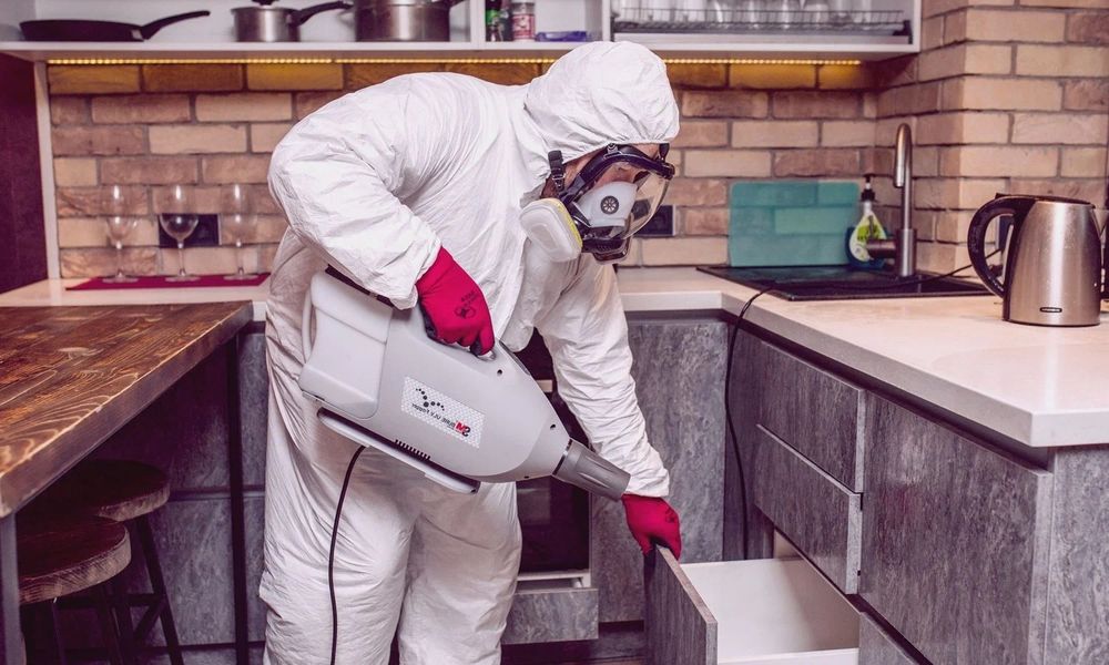 Комплексна обробка приміщень від шкідників — Працюємо офіційно